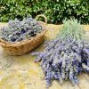 Hidrolato de lavanda- Agua floral - Imagen 2