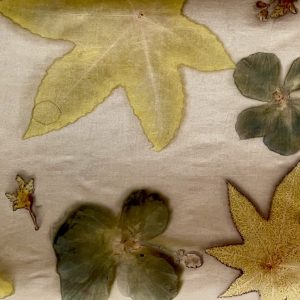 ecoprint/estampació botànica