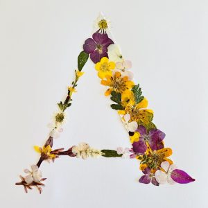 iniciales botánicas de flores prensadas