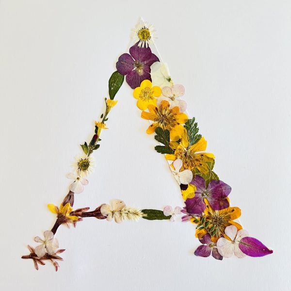 iniciales botánicas de flores prensadas