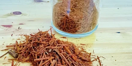 Thumbnail: Tintes naturales: Palo de Campeche (logwood)